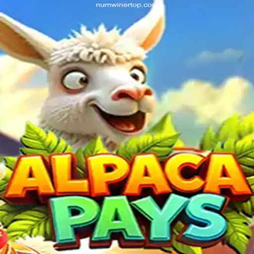 Experience the Thrills of AlpacaPays